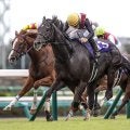 【阪神C想定】ルガルやナムラクレアなど14頭