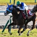 【朝日杯FS】リアルスティール産駒のJRA・GI初制覇なるか アドマイヤクワッズが無敗戴冠狙う
