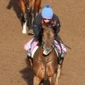 【全日本２歳優駿】タマモフリージアは追い込むも首差２着　田口貫太騎手「よく伸びた」「牡馬を相手にいい走り」