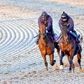 【有馬記念１週前】連覇狙うレガレイラがラスト１１秒３　陣営「あとは週末、来週で良い変化があれば」