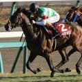 GI昇格前最後の勝ち馬は後のダービー馬 レイデオロが制した16年ホープフルS