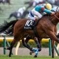 【ターコイズS出走馬・騎手確定】チェルビアット＆戸崎圭太騎手、ビップデイジー＆西村淳也騎手など16頭