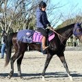 【ＰＯＧ】母は米Ｇ１馬！　キタサンブラック産駒の良血プラウディッツがルメール騎手の手綱でスタンバイ