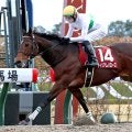 ダートグレード競走２勝のウィリアムバローズが競走馬登録を抹消　浦和競馬へ移籍の予定
