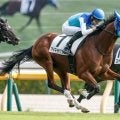 【朝日杯FS・調教後馬体重】アドマイヤクワッズは474kg、リアライズシリウスは532kg