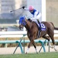 有馬記念配当ランキング 歴代1位は98万5580円…1番人気勝利でもヒモ荒れ