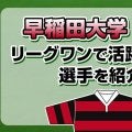早稲田大学出身で、リーグワンで活躍している選手を紹介！