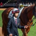 朝日杯FSで好走した伏兵の共通項とは 人気薄でも侮れない2頭に注目