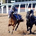 【東京大賞典１週前】Ｊｐｎ１連勝中のミッキーファイトは３頭併せで最先着　陣営「よく持ち直した」