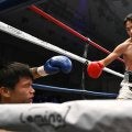 【ボクシング】「モンスター２世」坂井優太パーフェクトレコード継続　無傷の６連続KO勝ち