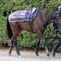 【岩田康誠の熱血！！競馬道】朝日杯ＦＳは夏からの成長を感じるストームサンダー　ロスない立ち回りで一発狙う