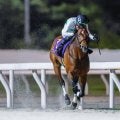 GII/JpnII・2勝のウィリアムバローズが登録抹消 今後は浦和競馬に移籍予定