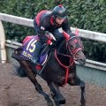 【朝日杯ＦＳ】Ｇ１初挑戦の西園翔調教師が送り出すタガノアラリアは４枠６番　「ちょうどいい枠だと思います」