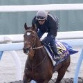 「紙馬券、絶対入手する」「泣きそう」グランプリで引退のダービー馬に惜別エール続出　タスティエーラは有終の美飾るか