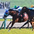 【朝日杯FS】アドマイヤクワッズは474kg…出走馬の調教後における馬体重