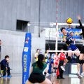 とにかく目の前の戦いに全力で～天皇杯・皇后杯ファイナルラウンド第一週より②Vリーグ編