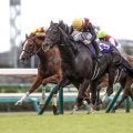 【阪神C想定馬・騎手】ルガル、ナムラクレアなど17頭