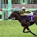 皐月賞馬ソールオリエンスが登録抹消…種牡馬入り