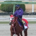 【有馬記念・土曜追い】 シンエンペラーが坂路でパワフル　マイネルエンペラー、シュヴァリエローズはＣＷコースで