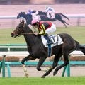 【中山５Ｒ・２歳新馬】母が米Ｇ１馬のプラウディッツが快勝　田中博康調教師「ゆっくりとクラシックを目指していける器」