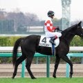 ４億円馬がまさかの黒星デビュー「キレイに飛んで…」「えらい人気薄勝った」ダノンアスコルティにネット悲鳴