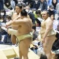 安青錦の今年の自己採点は「75点」史上最速の大関昇進も「100点はない」と向上心は尽きず