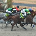 YJSファイナルで快挙　塩津璃菜騎手がJRA初勝利、史上初の地方女性V