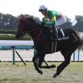 【競馬予想】朝日杯FSは有力５頭が中心も、馬場次第で大駆けが期待できる穴馬が２頭いる