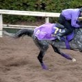 【有馬記念】落馬のアクシデントから巻き返す　アドマイヤテラは初の中山でも問題なし　陣営「ストレスをためないように」