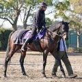 【有馬記念】キャリア３２戦目で初出走　回避馬が出て１６番目に繰り上がったアラタ　陣営「出れると信じて作ってきた」