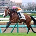 【中山５Ｒ・２歳新馬】伯父にＧ１馬を持つロデオドライブがデビューＶ　北村宏司騎手「まだ若さがあるところも」