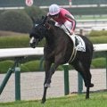 【阪神5R新馬戦結果】トリニティが押し切り新馬勝ち 母はオークス馬ヌーヴォレコルト