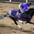 【有馬記念】強い３歳世代の代表だ！　ミュージアムマイルは坂路でパワフル　高柳大調教師「ダービーの時とは違う」
