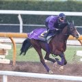 【朝日杯フューチュリティステークス】馬トク外厩情報…「外厩の勢い」が勝負の鍵　有力馬が条件一致