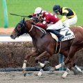 【中山６Ｒ・２歳新馬】ファンシーズが先団から抜け出す　丹内祐次騎手「競馬が上手」