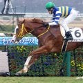 【阪神６Ｒ・２歳新馬】ワイドシュテルケが危なげなく逃げ切る　藤岡佑介騎手「終始、余裕がある感じでした」