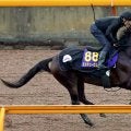 【有馬記念】セン馬旋風起こす！　遅咲きのミステリーウェイここも逃走だ　小林調教師「以前より体も大きくなってきました」