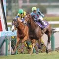 【朝日杯ＦＳ】２歳マイル王はカヴァレリッツォ！　雪辱果たしＧ１初制覇　Ｃデムーロ騎手は初勝利