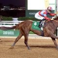 国内外で砂重賞５勝のリメイクが引退　ノースヒルズで種牡馬に