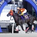 【名古屋大賞典枠順】ホッカイドウ競馬で重賞15勝を挙げているベルピットは5枠5番