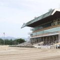 【水沢・金杯結果】ディオニスが断然人気に応え7馬身差圧勝