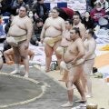 横綱豊昇龍が２２連勤の冬巡業を完走「大変だけど、仕事だから」直後のＭ-１笑神籤には「間違えないように」