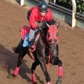 【兵庫ＧＴ】一昨年の覇者サンライズホークは７枠９番　３歳馬マテンロウコマンドは大外枠に決まる