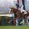 【新馬/阪神6R】タワーオブロンドン産駒 ワイドシュテルケが人気に応える