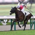 【新馬/阪神5R】良血トリニティが快勝…母はヌーヴォレコルト