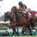 有馬記念と土曜にホープフルS・中山大障害・阪神C/今週の競馬界の見どころ