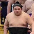 幕内・伯桜鵬は伯乃富士に　伊勢ケ浜部屋所属力士９人がしこ名を改名…初場所番付発表