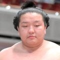 朝白龍が新入幕　拓大出身では栃乃洋以来２９年ぶり…初場所番付発表