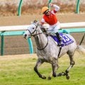 3年連続で皐月賞＆有馬記念の同年V 10年から12年を振り返る