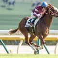 「ウマ娘」の藤田晋オーナーが有馬記念でJRA・GI初制覇なるか これまで挑戦した馬たちは